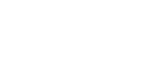 CSV Import Export