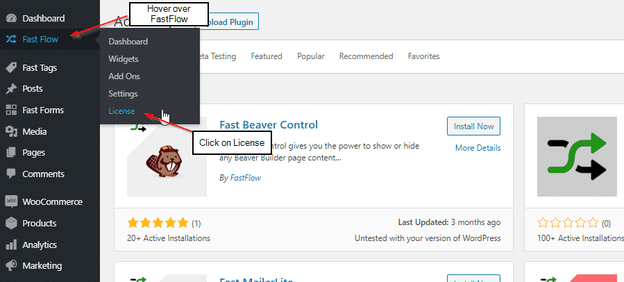 activating license fastflow